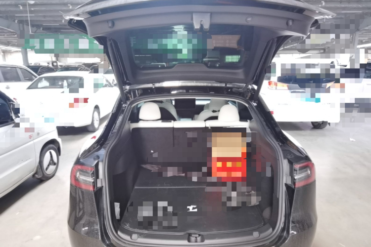 Tesla Model Y 2023 #19 Tesla Model Y 2023 car image #19