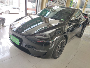 Tesla Model Y 2021 Tesla Model Y 2021 car image