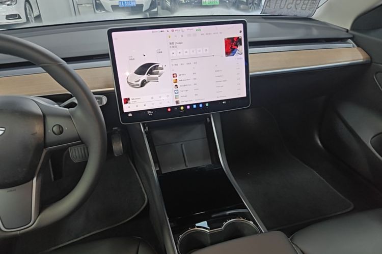Tesla Model 3 2020 car image #17