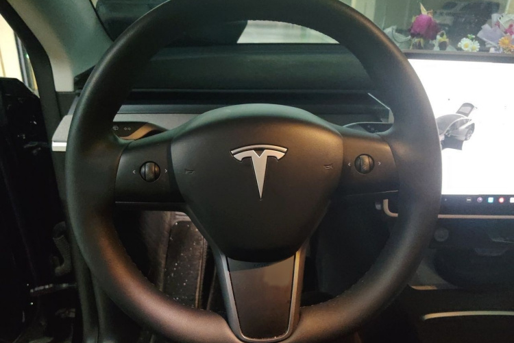 Tesla Model Y 2024 car image #12