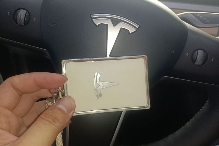 Tesla Model 3 2021 immagine di auto #9