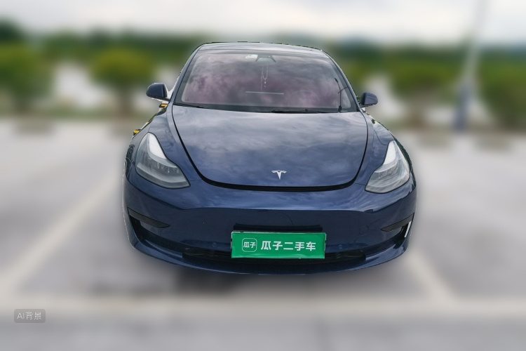 Tesla Model 3 2021 car image #3