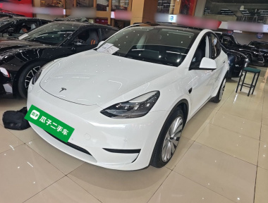 Tesla Model Y 2022 Tesla Model Y 2022 car image