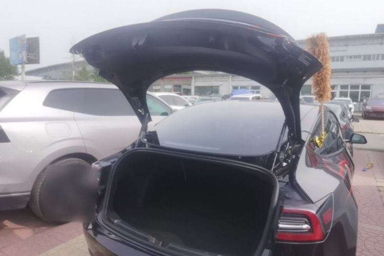 Tesla Model 3 2021 #19 Tesla Model 3 2021 car image #19