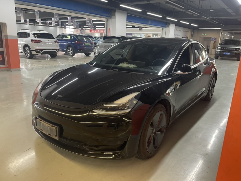 Tesla Model 3 2020 #2 Tesla Model 3 2020 car image #2