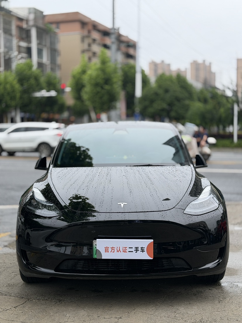 Tesla Model Y 2023 Tesla Model Y 2023 car image