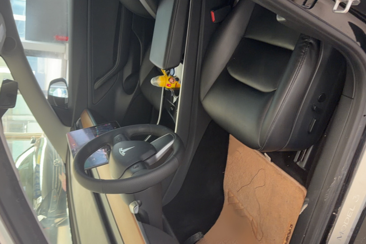 Tesla Model 3 2020 #9 Tesla Model 3 2020 صورة سيارة #9