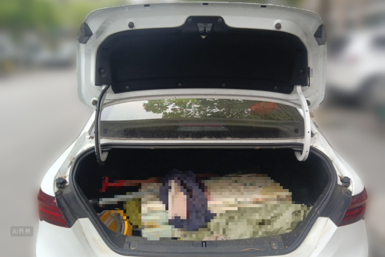 GEELY Binray 2021 immagine di auto #21