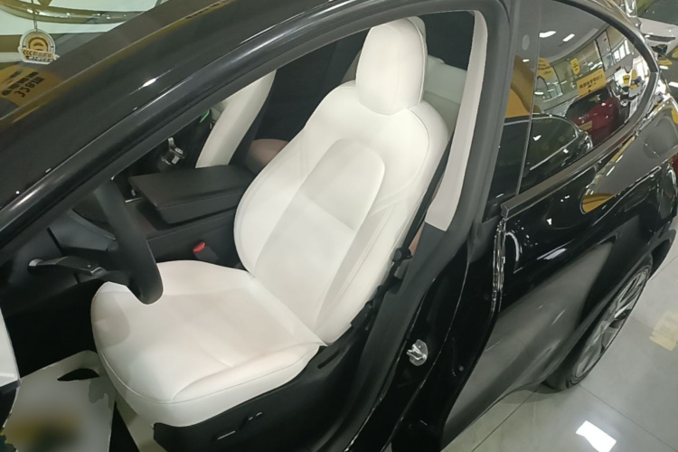 Tesla Model Y 2021 car image #19
