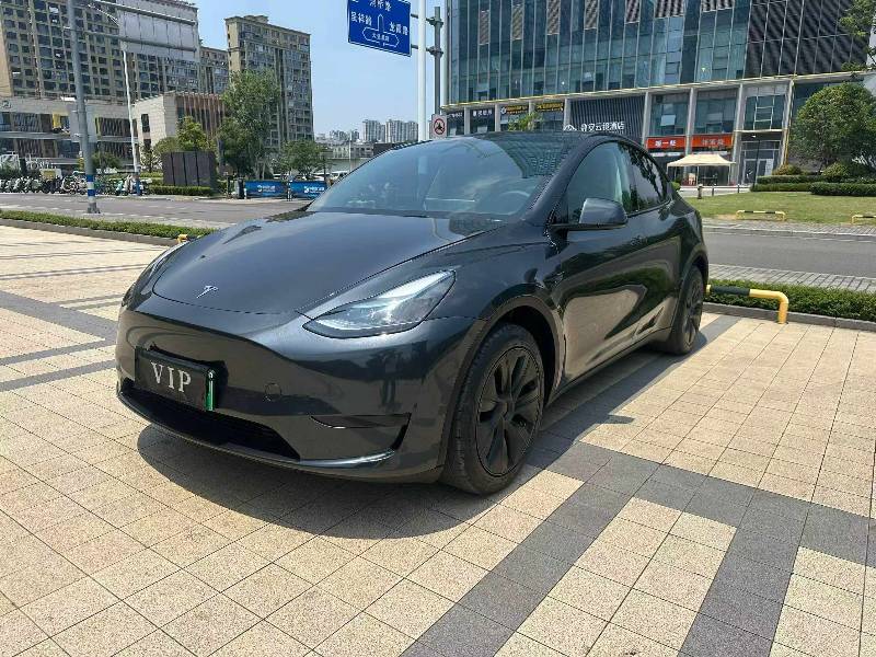 Tesla Model Y 2024 car image #3
