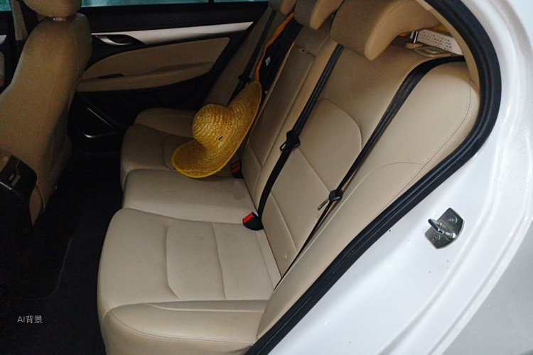 GEELY Emgrand 2018 car image #19