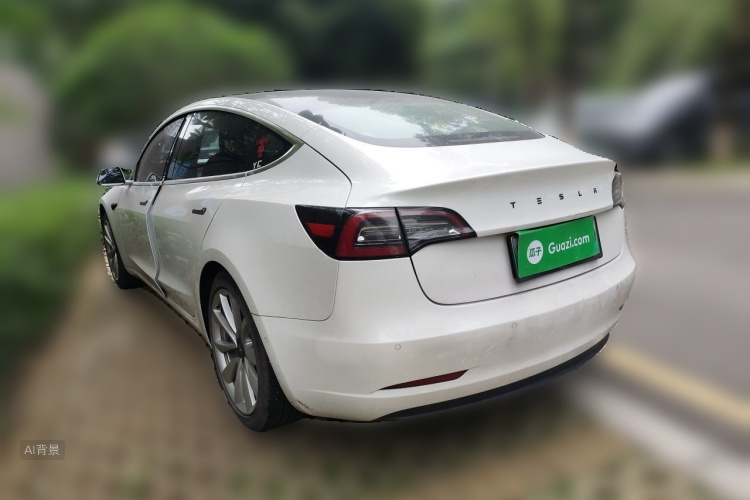 Tesla Model 3 2020 car image #5