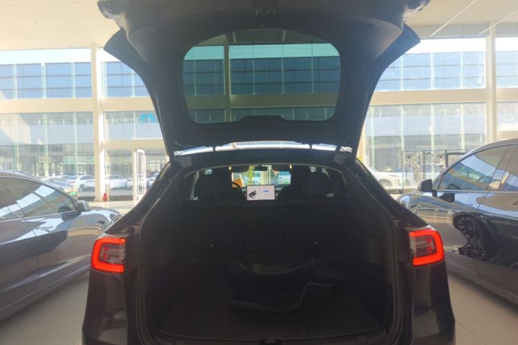 Tesla Model Y 2024 #19 Tesla Model Y 2024 car image #19