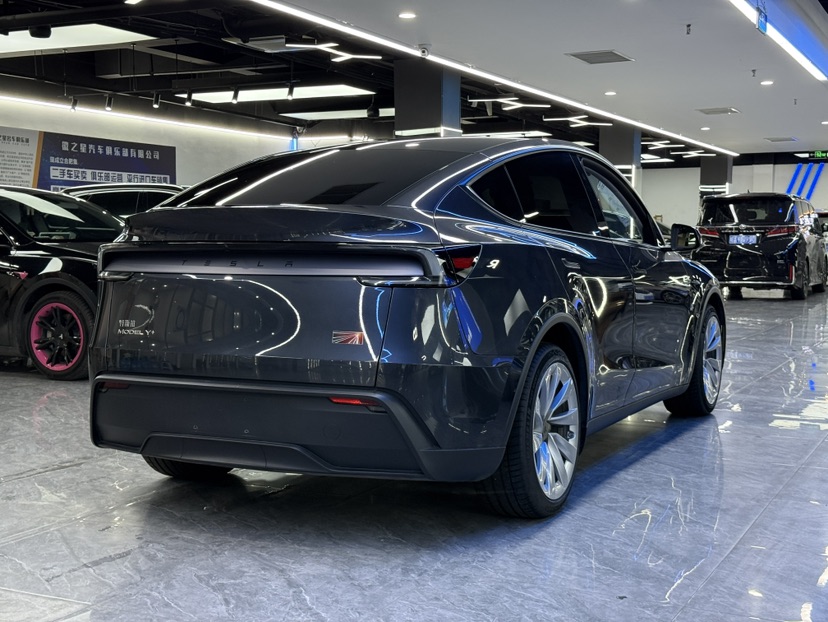 Tesla Model Y 2025 car image #9