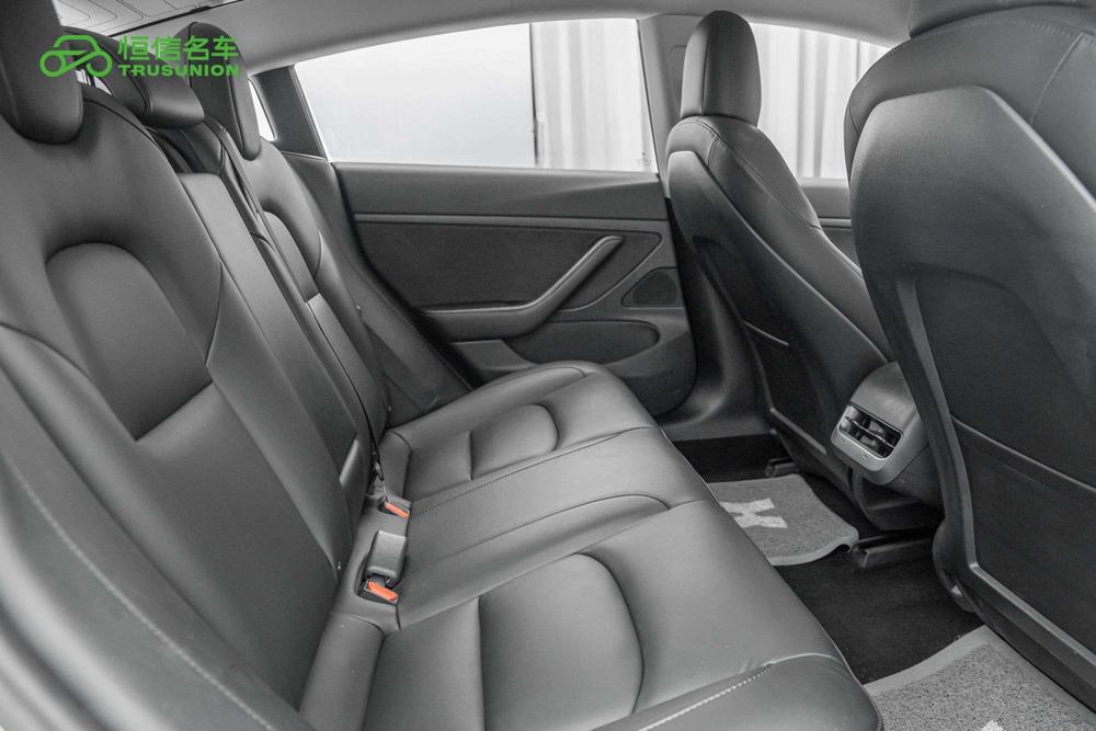 Tesla Model 3 2020 car image #19