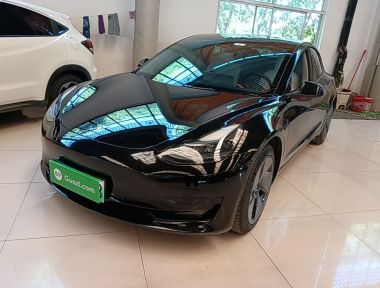 Tesla Model 3 2022 car image 