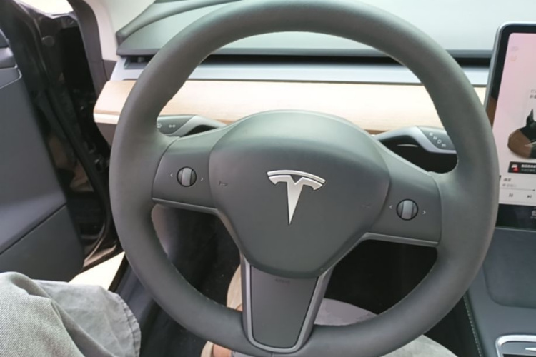 Tesla Model 3 2021 #11 Tesla Model 3 2021 car image #11