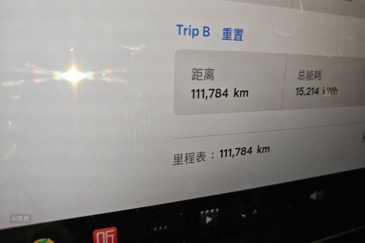 Tesla Model Y 2023 immagine di auto #14
