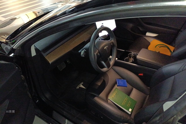 Tesla Model 3 2020 car image #18
