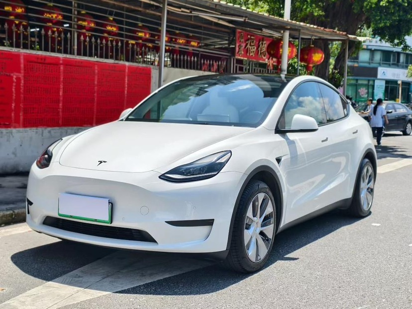 Tesla Model Y 2021 Tesla Model Y 2021 car image