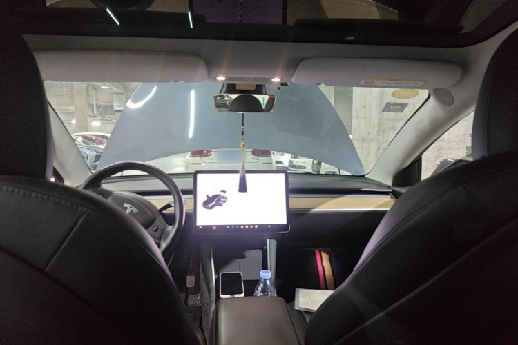 Tesla Model 3 2020 car image #18