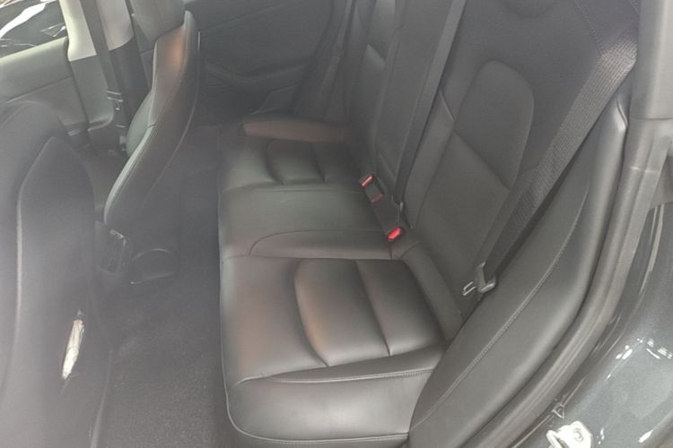 Tesla Model 3 2021 car image #17