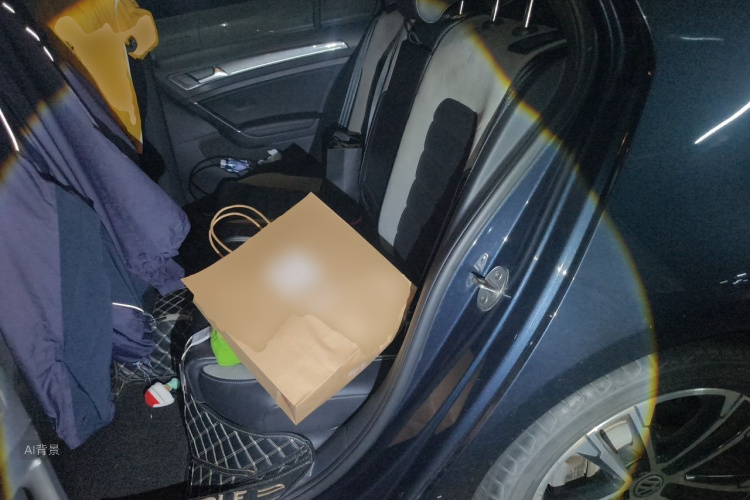 Volkswagen Golf 2019 car image #19