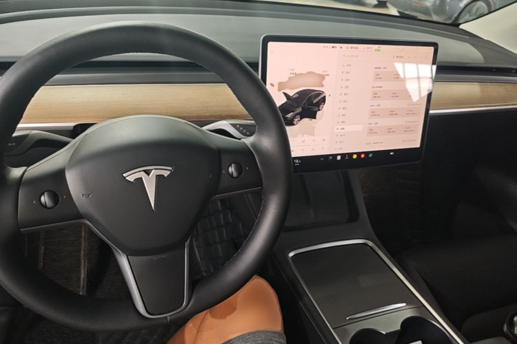 Tesla Model Y 2022 #10 Tesla Model Y 2022 car image #10