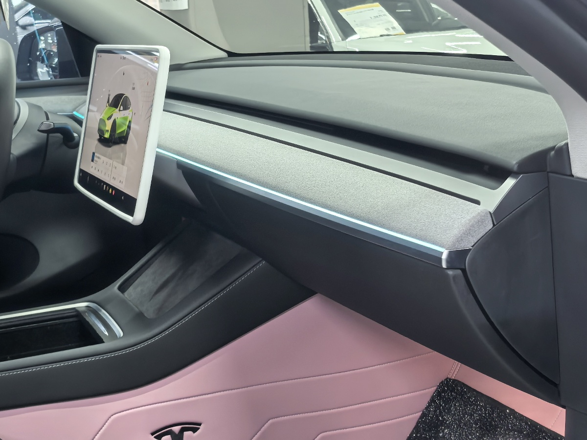 Tesla Model Y 2024 car image #8