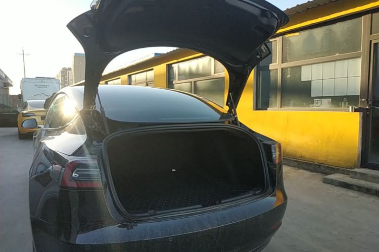 Tesla Model 3 2020 #19 Tesla Model 3 2020 immagine di auto #19