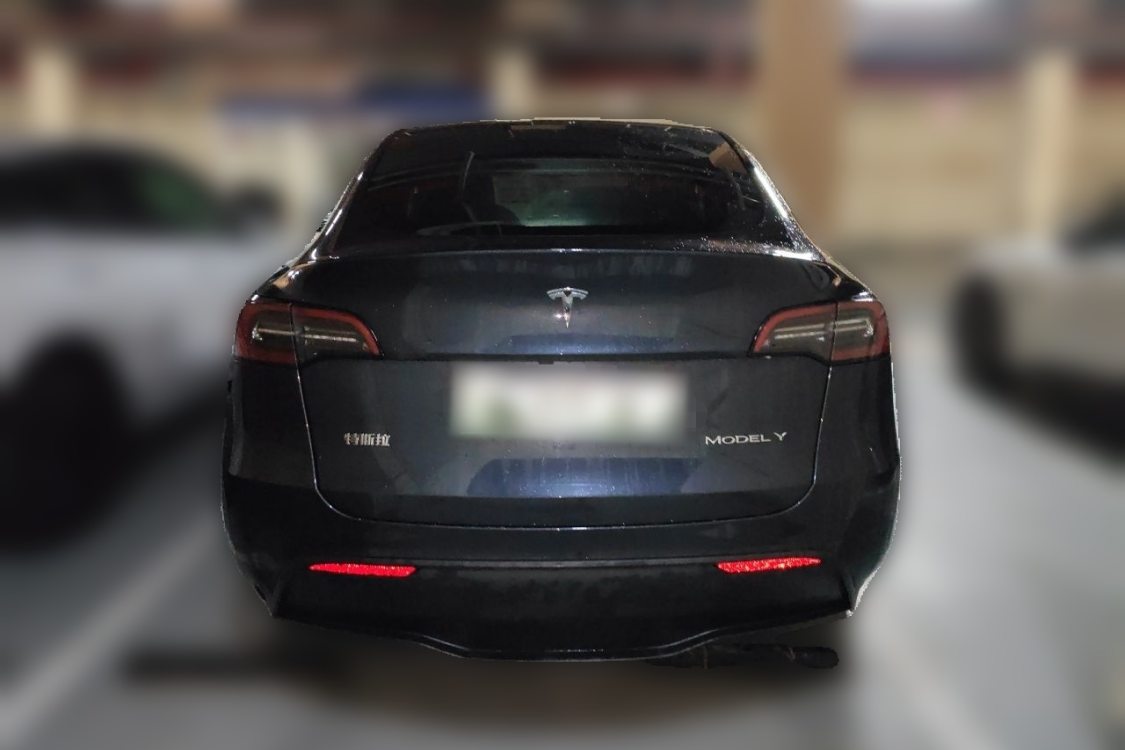 Tesla Model Y 2024 car image #6