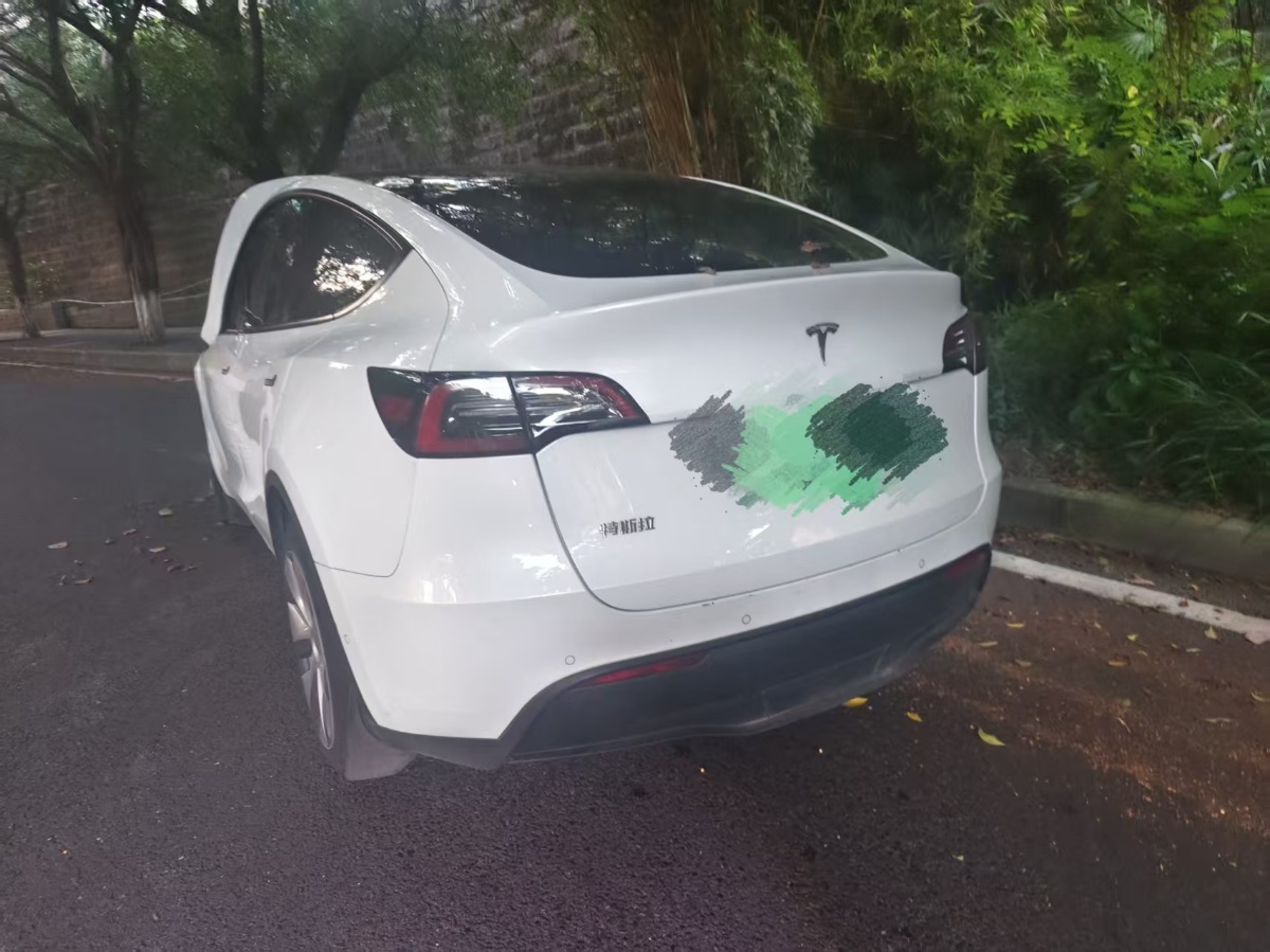 Tesla Model Y 2022 car image #4