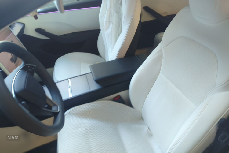 Tesla Model 3 2024 immagine di auto #17