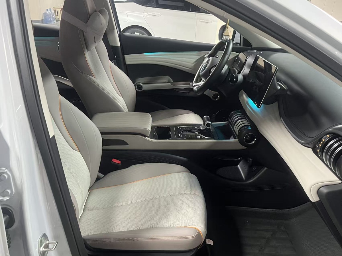 BYD Yuan Plus 2023 #7 BYD Yuan Plus 2023 immagine di auto #7