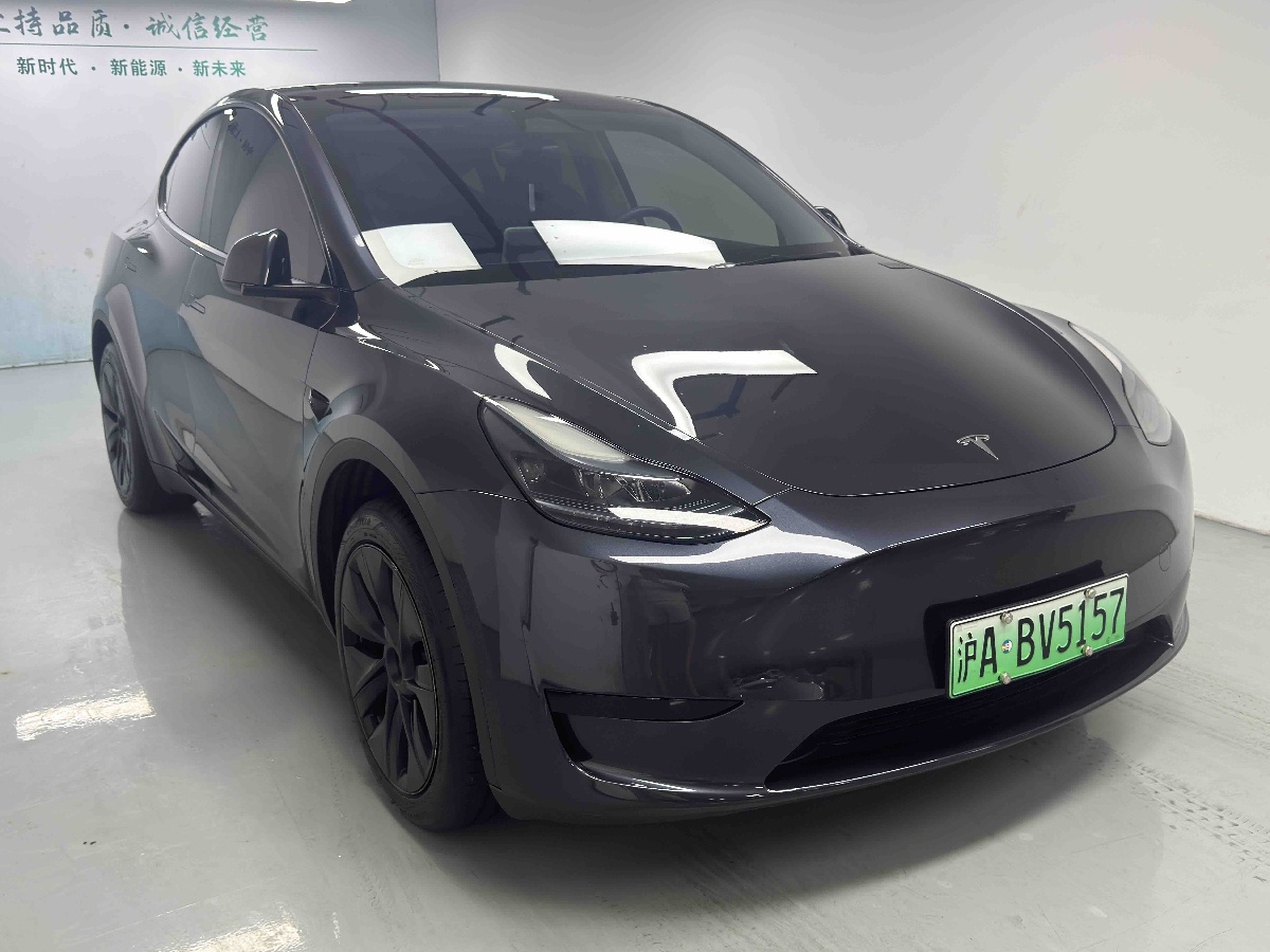 Tesla Model Y 2025 car image #9