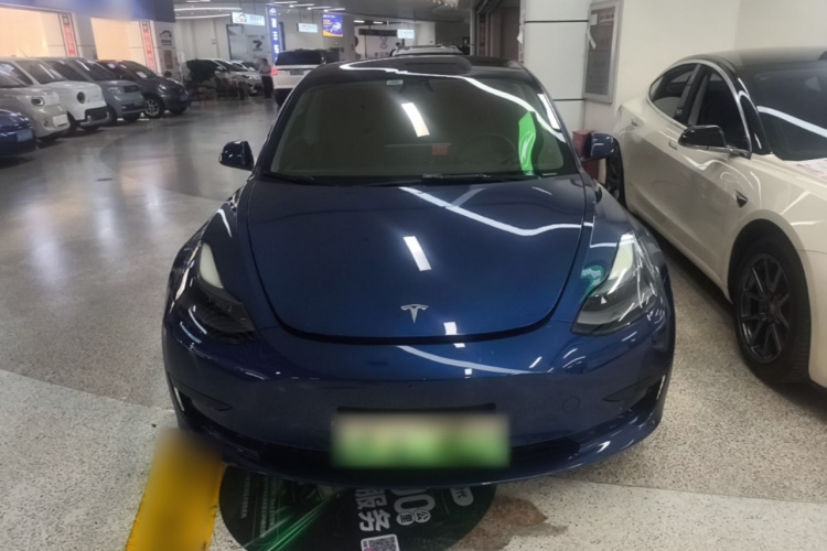 Tesla Model 3 2021 car image #3