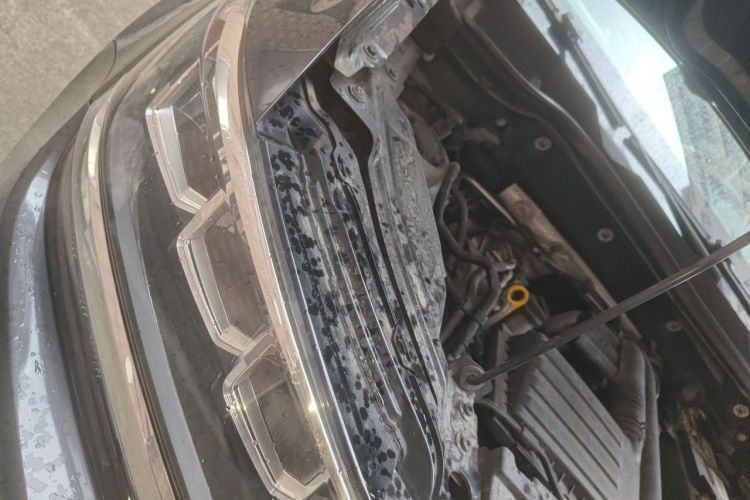 Volkswagen Tharu 2020 car image #22