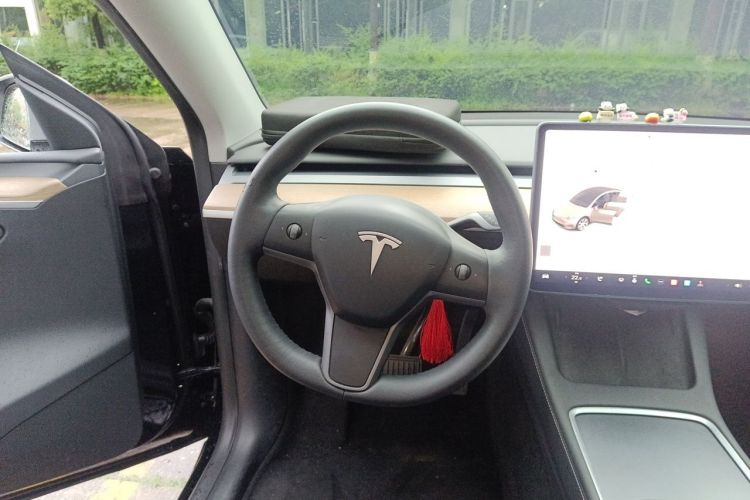 Tesla Model Y 2022 #15 Tesla Model Y 2022 car image #15