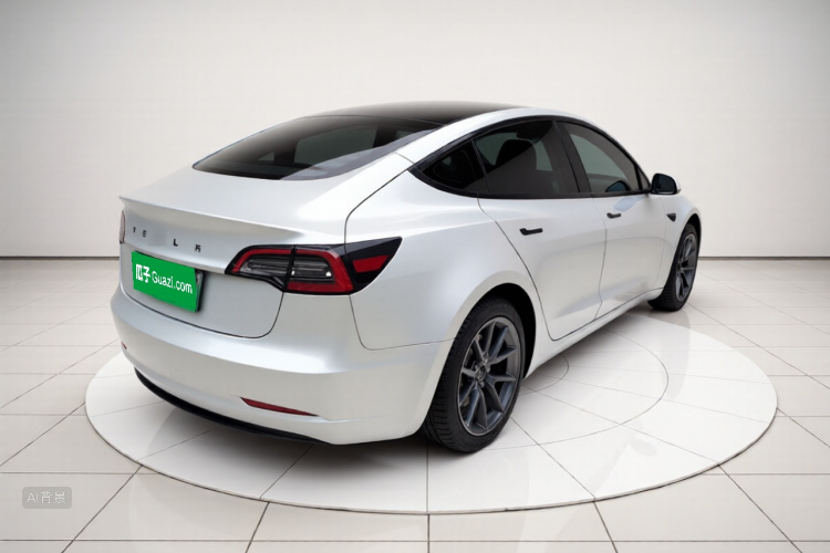 Tesla Model 3 2023 car image #7
