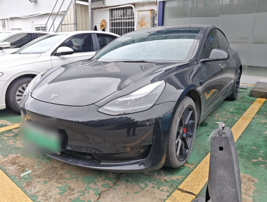 Tesla Model 3 2023 Tesla Model 3 2023 car image