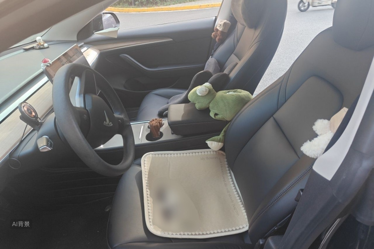 Tesla Model 3 2022 car image #17