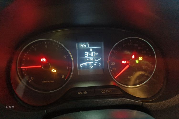 Volkswagen Polo 2014 car image #13