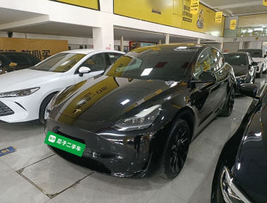 Tesla Model Y 2023 Tesla Model Y 2023 car image