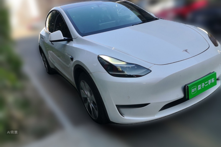 Tesla Model Y 2021 car image #4