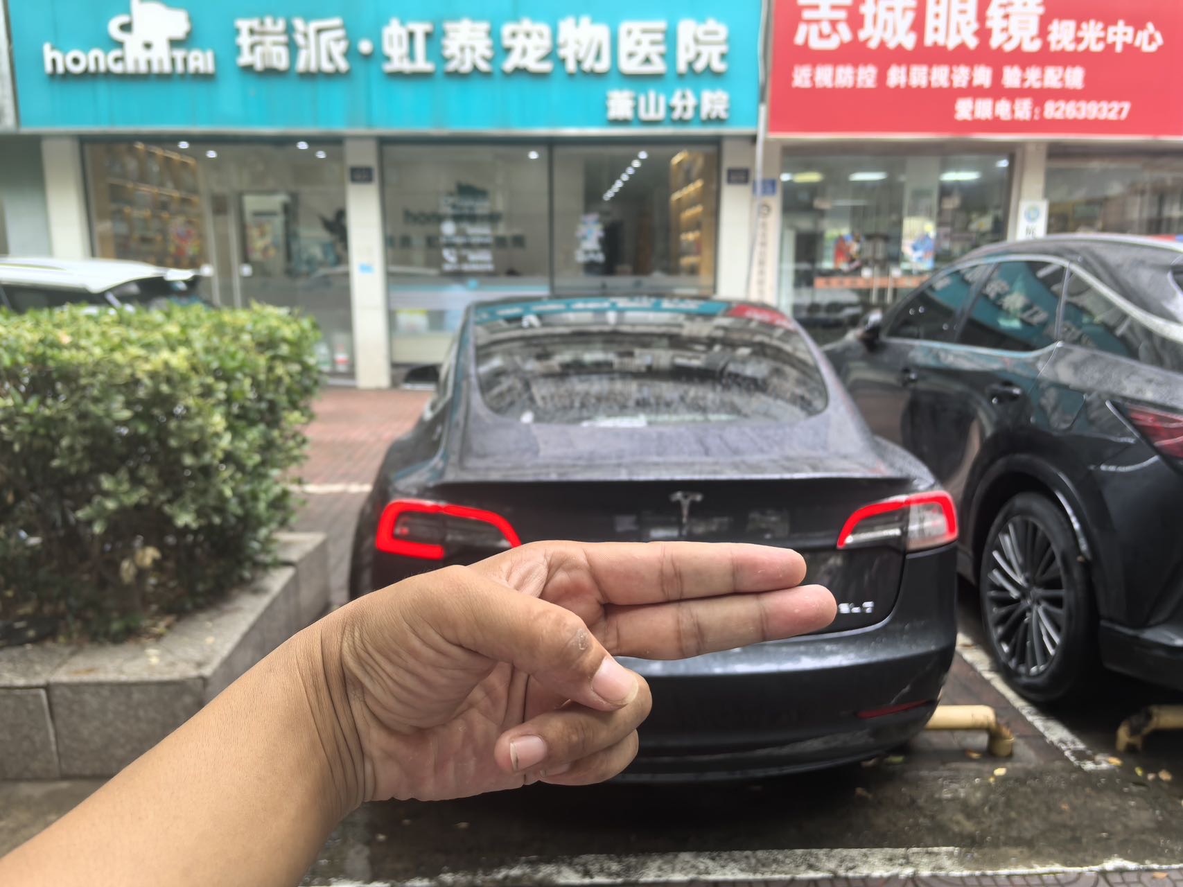 Tesla Model 3 2020 #3 Tesla Model 3 2020 car image #3