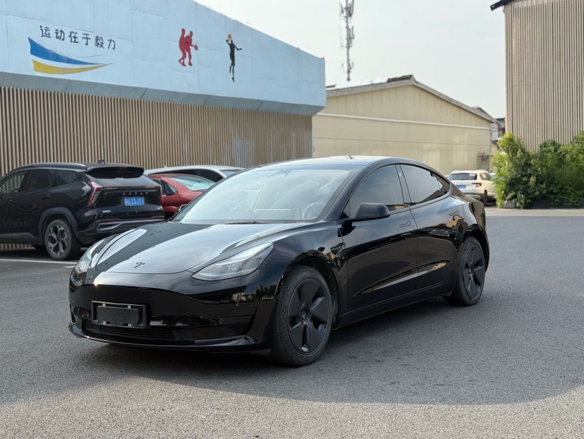 Tesla Model 3 2022 Tesla Model 3 2022 car image