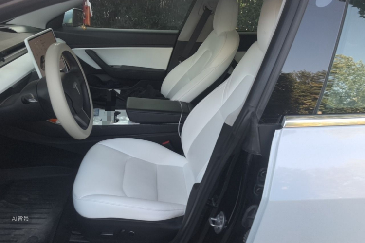 Tesla Model 3 2020 #17 Tesla Model 3 2020 car image #17