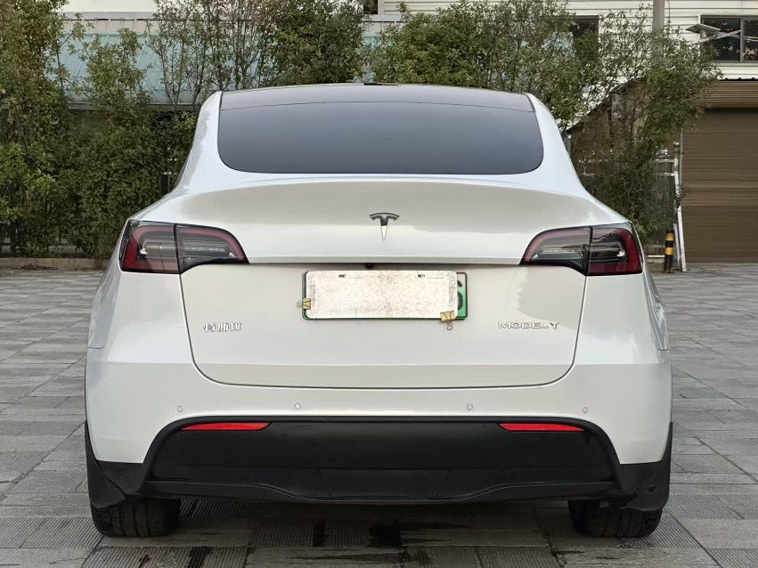 Tesla Model Y 2021 #8 Tesla Model Y 2021 car image #8