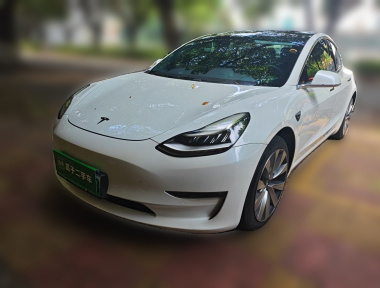 Tesla Model 3 2020 immagine di auto 