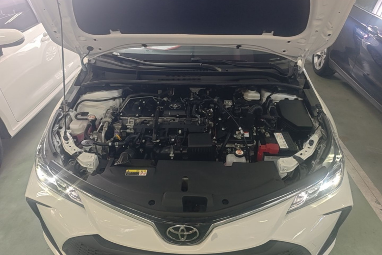 Toyota Corolla 2024 #22 Toyota Corolla 2024 car image #22